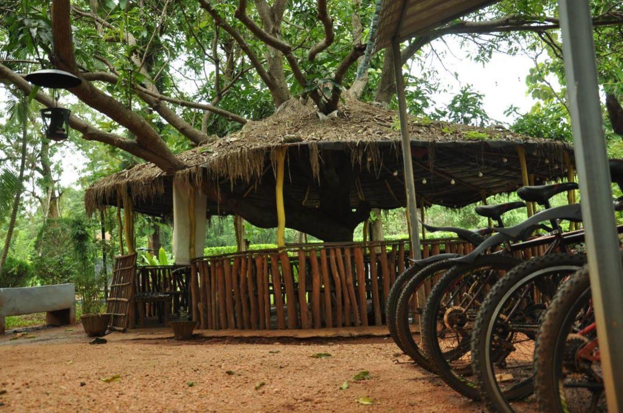 Sujatha Tourist Rest Hotel Dambulla Exterior foto