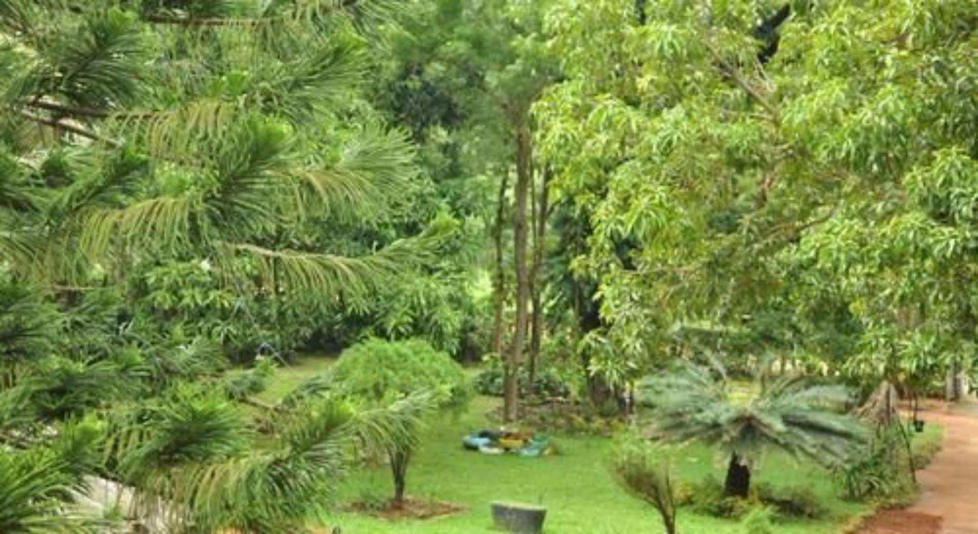 Sujatha Tourist Rest Hotel Dambulla Exterior foto