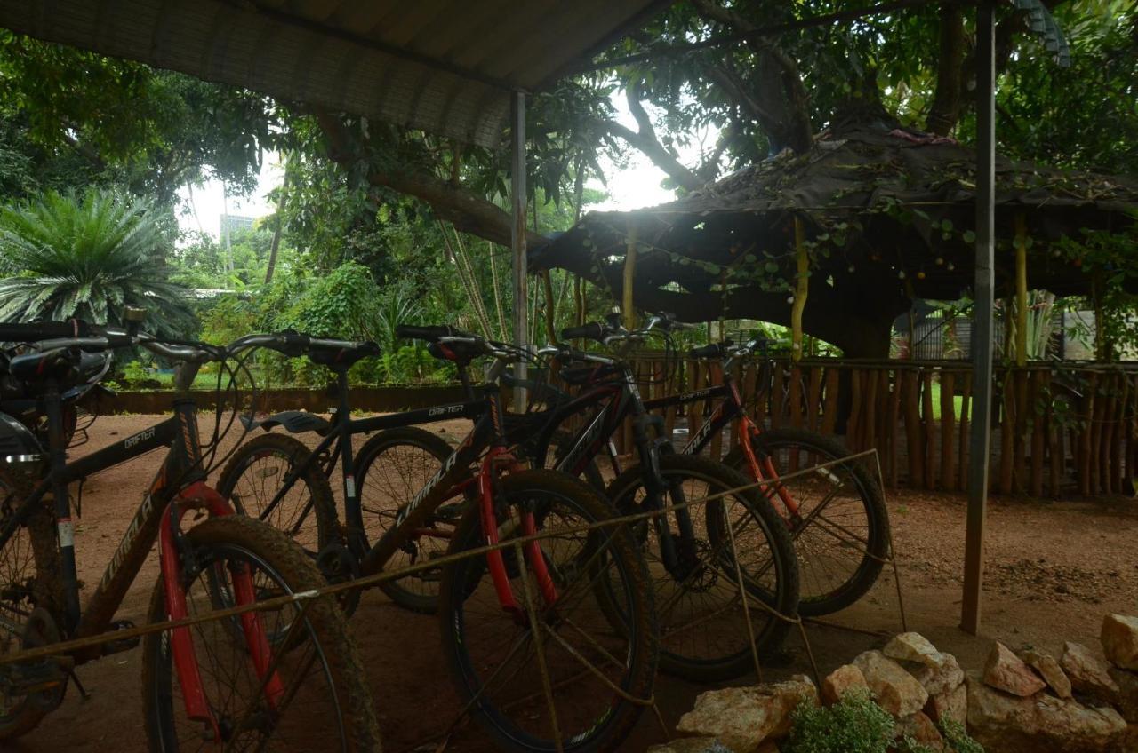 Sujatha Tourist Rest Hotel Dambulla Exterior foto